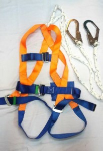 Vpro Body Harness Double Hook